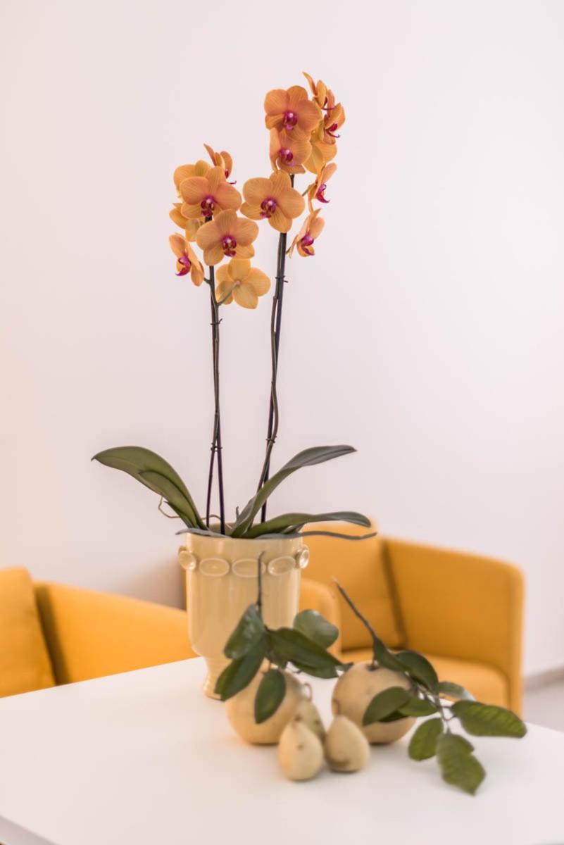 Le Residenze Di Don Nino Apartment เลชเช ภายนอก รูปภาพ